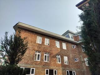 Kashmir Beautiful Villa - 2
