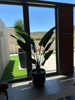 Departamento Vista al Mar - 4