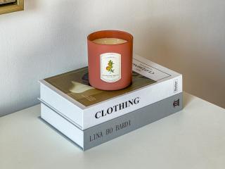 Unique Yas Oasis - Fully Furnished - 5 min from F1, Ferrari World, Sea World, Yas Mall and more - 6