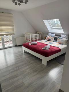 Au petit Logelbach - 0