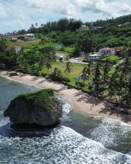 T.Cole’s Holiday Rental - Saint James - 7