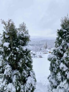 Solina domki-„Solińskie wzgórze” - 5