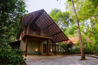The Birchwood Retreat, Madikeri - 3