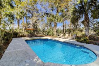 GI700: 700 Glossy Ibis - 7