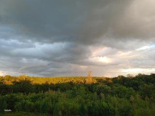 Curiango Bird Camp - 9