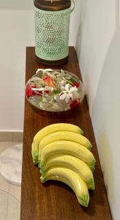 Nanua Lodge 1 green - 9