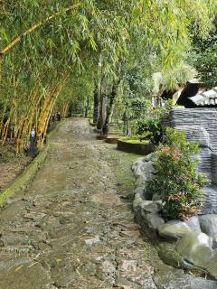 Rendezvous Jungle Resort - Sultan Bathery - 3