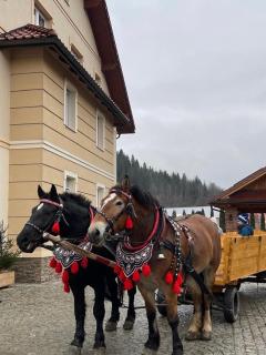 Apartamenty Agroturystyczne Papiernia - Niedźwiedź - 9