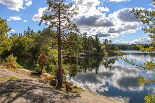 Luxury Spa Villa by the Nature with Sauna & Serenity - 4