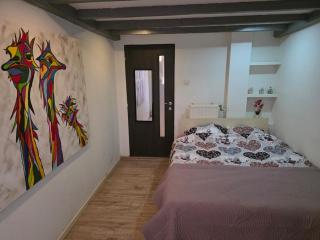 Urban Oasis - BIG stylish Apartment - 6