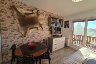 Cozy apartment "WAPITI" at the foot of the slopes - 5