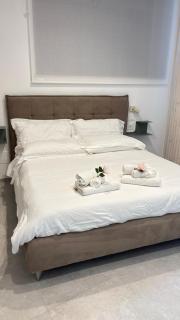 Perlage House -Appartamento in Centro a 200 mt da Porta Camollia a piano terra con entrata indipendente - Parcheggi disponibili - - 7