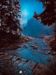 LostGarden Apartments - 3