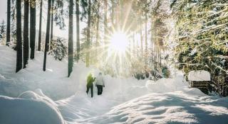 Dorfvilla Niedernsill - 5