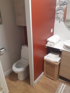 Beautiful cocooning appartement - 2