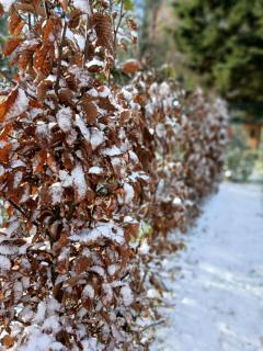Domaine de Marchal - chambres et table d'hôtes - 9