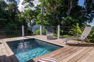 Caféiere Beausejour Rental in FWI - private pool - 9