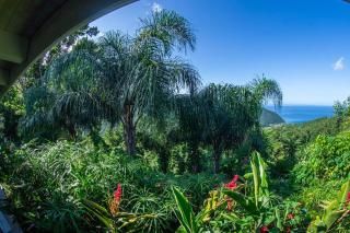 Caféiere Beausejour Rental in FWI - private pool - 3