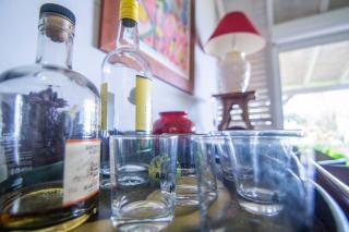 Caféiere Beausejour Rental in FWI - private pool - 2