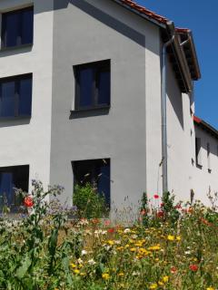 NaturZeit in Brunkensen - 0