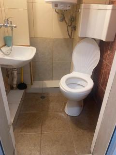 Стая радецки - 1