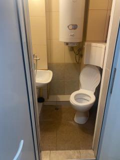 Стая радецки - 2