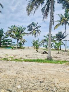 Marari Joys Beach Villa - 3