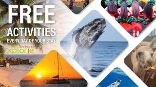 Kahana Village 2 · KHV 2 Direct Oceanfront 2BD Condo Steps to Be - 6