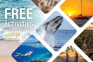 Papakea B110 · PK B110 Enjoy Ocean Views 1BD w Pool and Hot Tub - 7