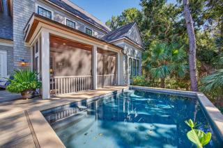 595 Piping Plover - 5