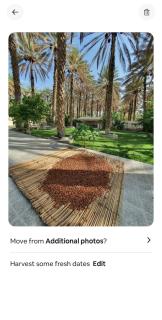 Al Raudha Serene - 4