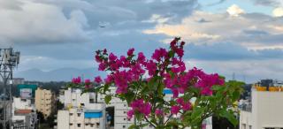 Keerthis Comforts - Airport pick up or Drop INR 449 - 1