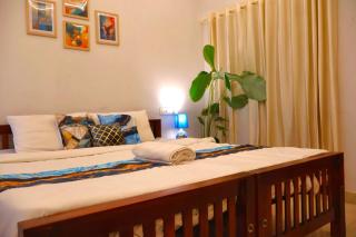 PALM GROVE By D2V - 1