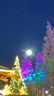 Arctic Apartment - 5