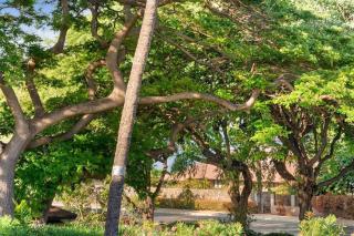 Maui Vista 1205 · MV 1205 Remodeled & Modern Garden View 1BD Con - 1