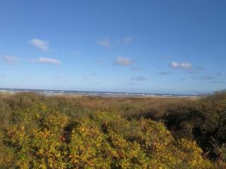 6 person holiday home in Bindslev-By Traum - 8