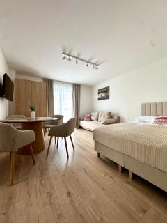 Ski Mountain Apartamenty - 4