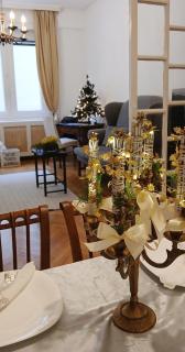 DinerDowntown in Váci Street with free garage - 3