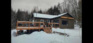 Le petit chalet Chertsey - 8