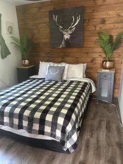 Le petit chalet Chertsey - 6