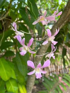 Villa Claudia Nimal's kitchen - 8