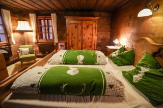 Haus Hainschneider- Zentrum Tauplitz - 1