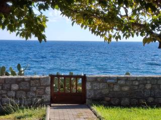 Alisahni Beachfront Villas - 6