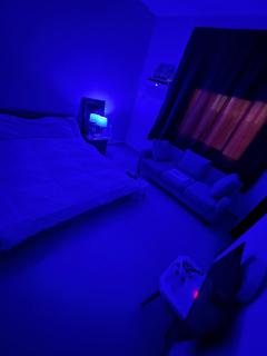 Beautiful Cozy Studio Flat Available in a prime location Exhibition - 2