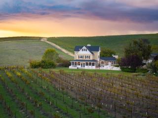 Vineyard Retreat - 8