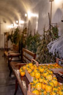 Cappuccini Resort - 8