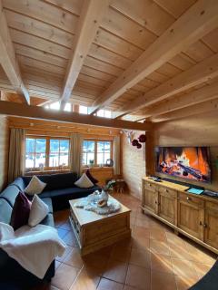 Luxus Blockhaus Willingen - Panoramablick, direkt am Skilift - 2