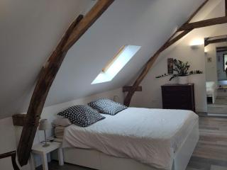 Le sablon chambres d'hotes - Parçay-les-Pins - 9