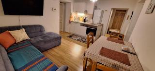 Sonniges Appartement und Gästezimmer, Haus Borowiec - 7