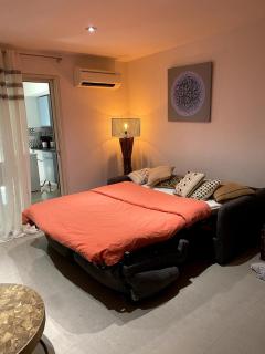 Appart Flamboyant 1006 - 8